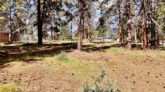 Image 33 of 54 For 0 S Lang Way