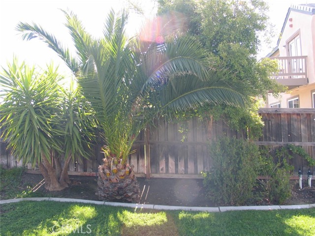 27720 Elderberry Street, Murrieta CA: https://media.crmls.org/medias/99ab6377-8d11-458c-bebc-8bbb3d909fb5.jpg
