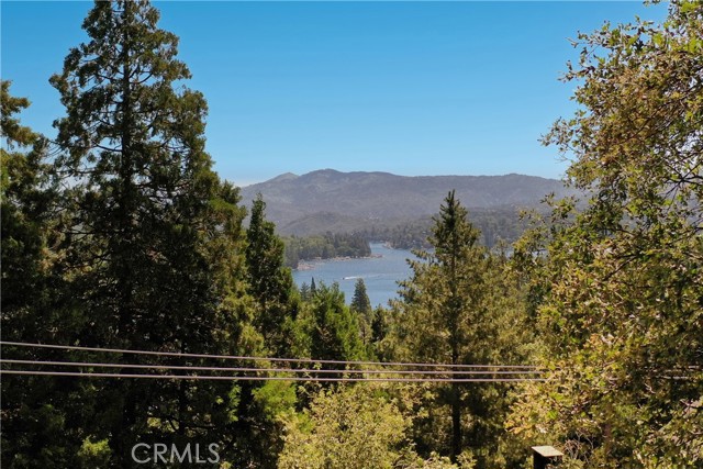 Detail Gallery Image 3 of 72 For 750 Zurich Dr, Lake Arrowhead,  CA 92352 - 4 Beds | 4/1 Baths