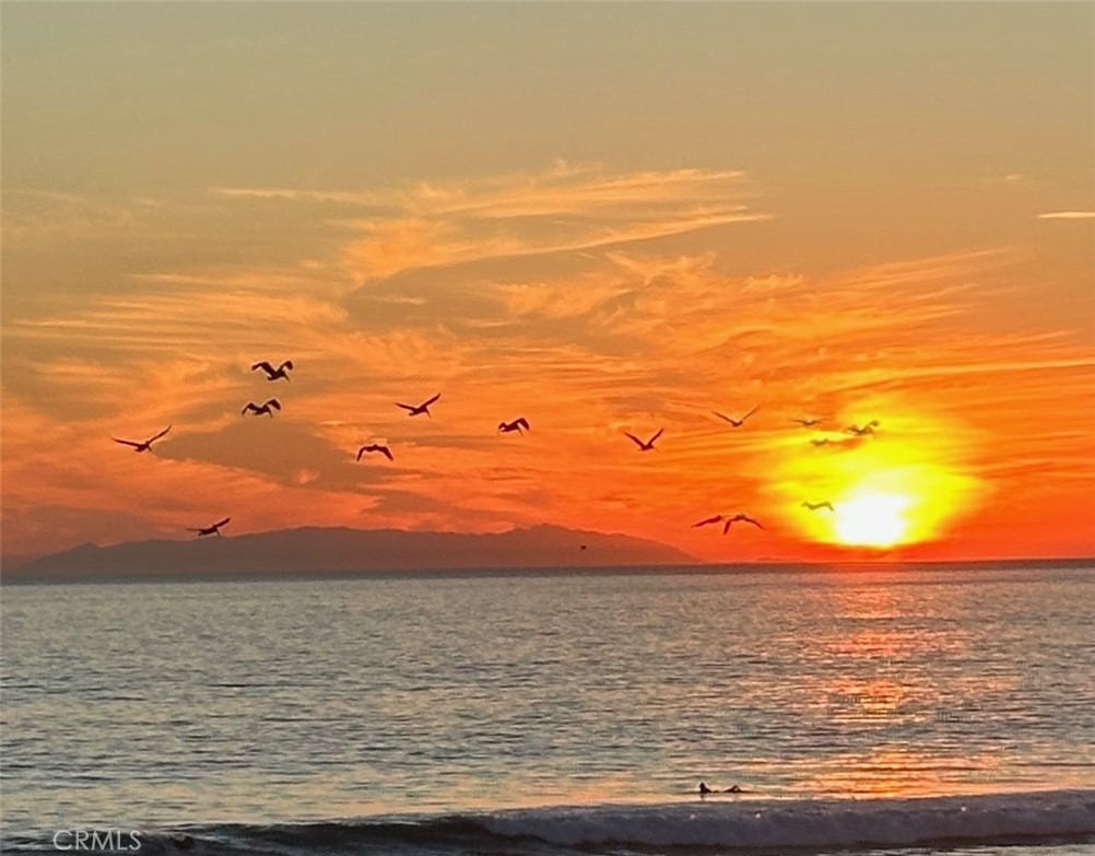 https://media.crmls.org/medias/99b0725e-f155-423a-aa35-e538ed1b13c2.jpg?preset=X-Large