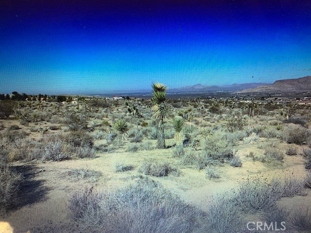 0 Roundup Way, Apple Valley, California 92308, ,Land,For Sale,0 Roundup Way,CR541211