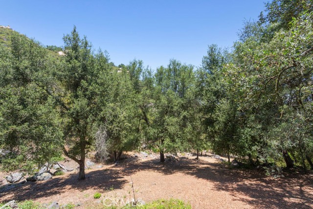 18380 Avenida Caleta, Murrieta CA: https://media.crmls.org/medias/99b1955a-761f-4ad6-8efa-5f7b8ee6db3d.jpg