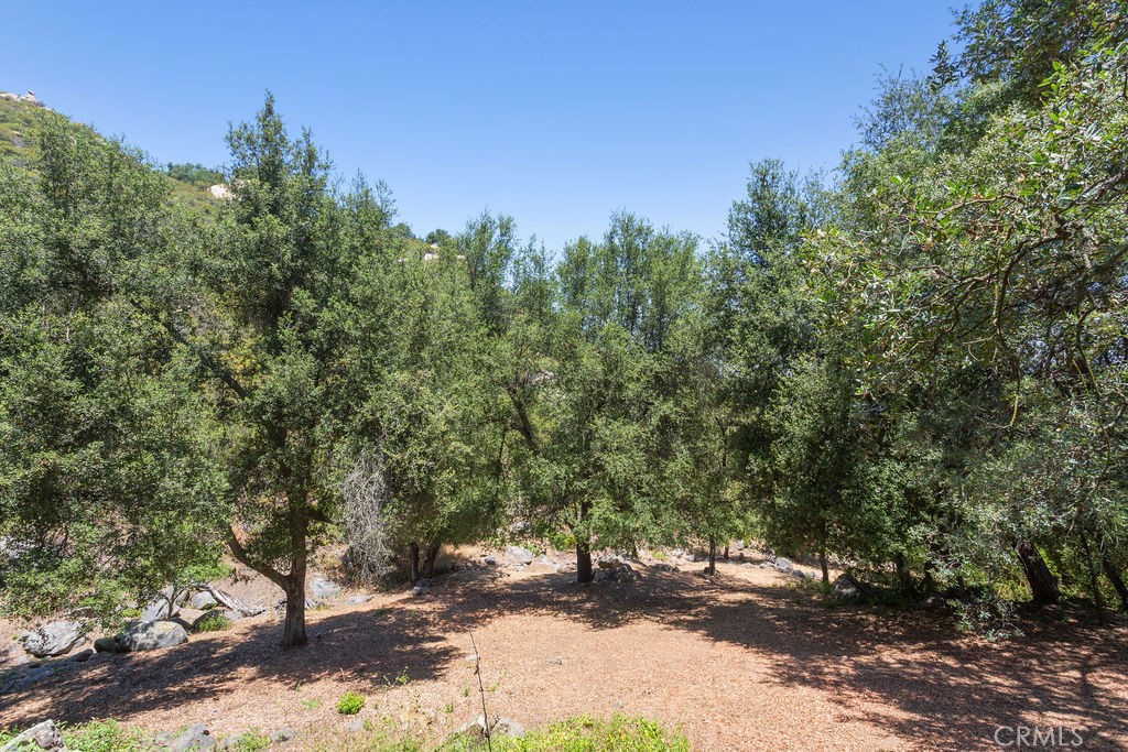 MLS #PW25146148 image #50