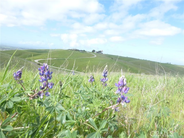 Detail Gallery Image 32 of 75 For 0 Yosemite Pl, Paso Robles,  CA 93446 - – Beds | – Baths
