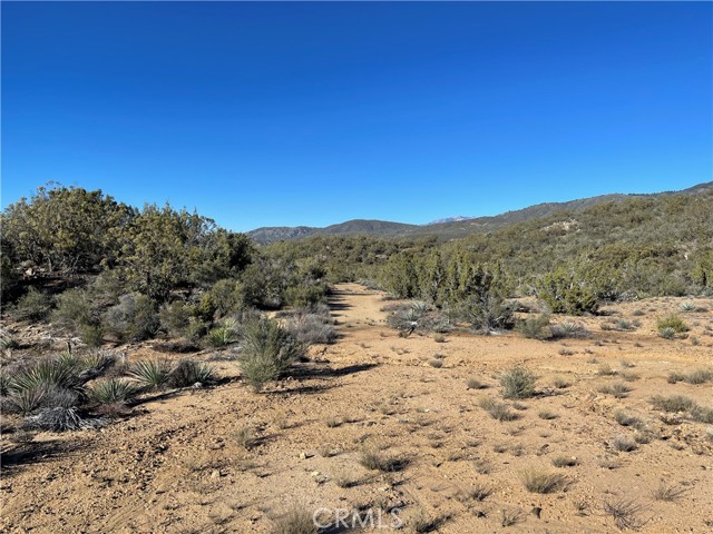 20 Comanche Trail, Anza, California 92539, ,Land,For Sale,20 Comanche Trail,CRSW22245603