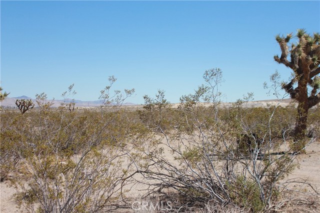 769 Meridian Road, Lucerne Valley CA: https://media.crmls.org/medias/99bb51da-16a3-45fa-8606-4ab590f0ad3e.jpg