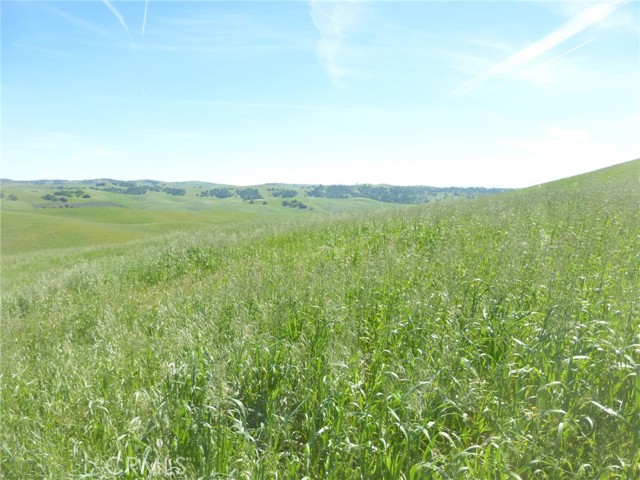 Detail Gallery Image 27 of 51 For 0 Douglas Rd. (Lot 33), San Miguel,  CA 93451 - – Beds | – Baths