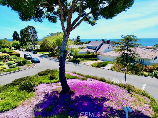 1617 Dalton Rd, Palos Verdes Estates, California 90274, 4 Bedrooms Bedrooms, ,1 BathroomBathrooms,Residential,Sold,Dalton Rd,PV23067869