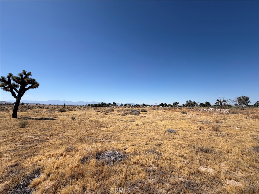 MLS #PW26133193 image #30