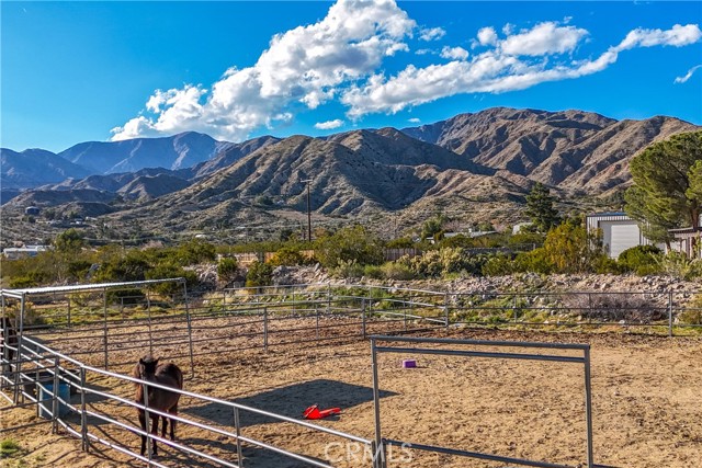 Detail Gallery Image 50 of 70 For 8949 Desert Willow Trl, Morongo Valley,  CA 92256 - 3 Beds | 2 Baths