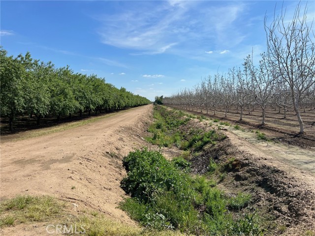 Detail Gallery Image 6 of 22 For 1557 E Gerard, Merced,  CA 95341 - – Beds | – Baths