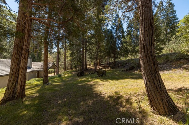 Detail Gallery Image 61 of 71 For 36333 Finegold Creek, North Fork,  CA 93643 - 3 Beds | 2 Baths