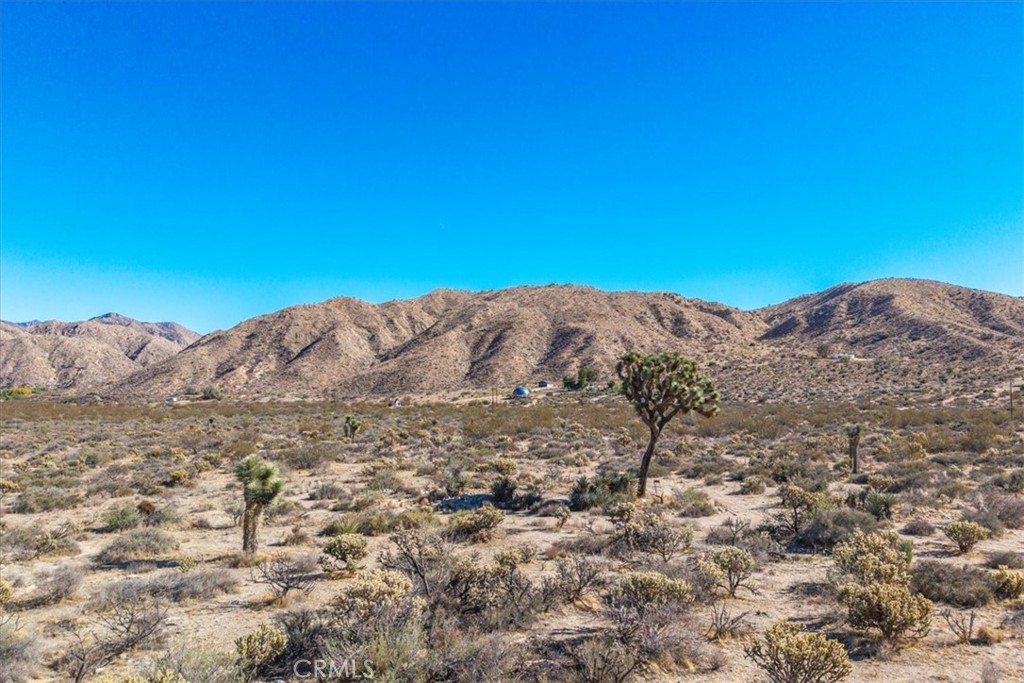 MLS #JT25257791 image #19