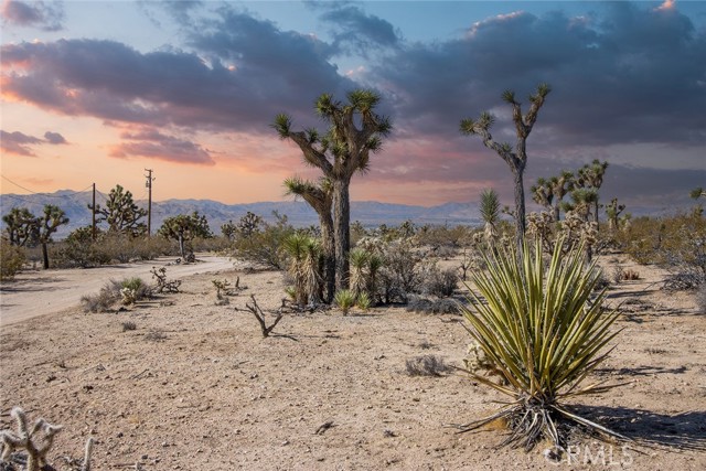 5292 Marvin Drive, Yucca Valley CA: https://media.crmls.org/medias/99cfd342-360b-48ff-89ff-eb1fba11ab07.jpg