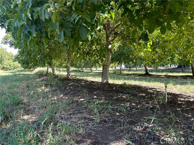 Image 6 of 21 For 25040 63rd Avenue