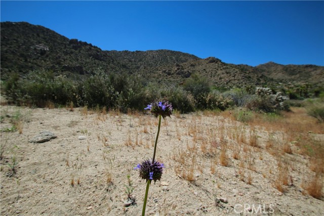 Detail Gallery Image 27 of 38 For 0 San Andreas, Joshua Tree,  CA 92252 - – Beds | – Baths