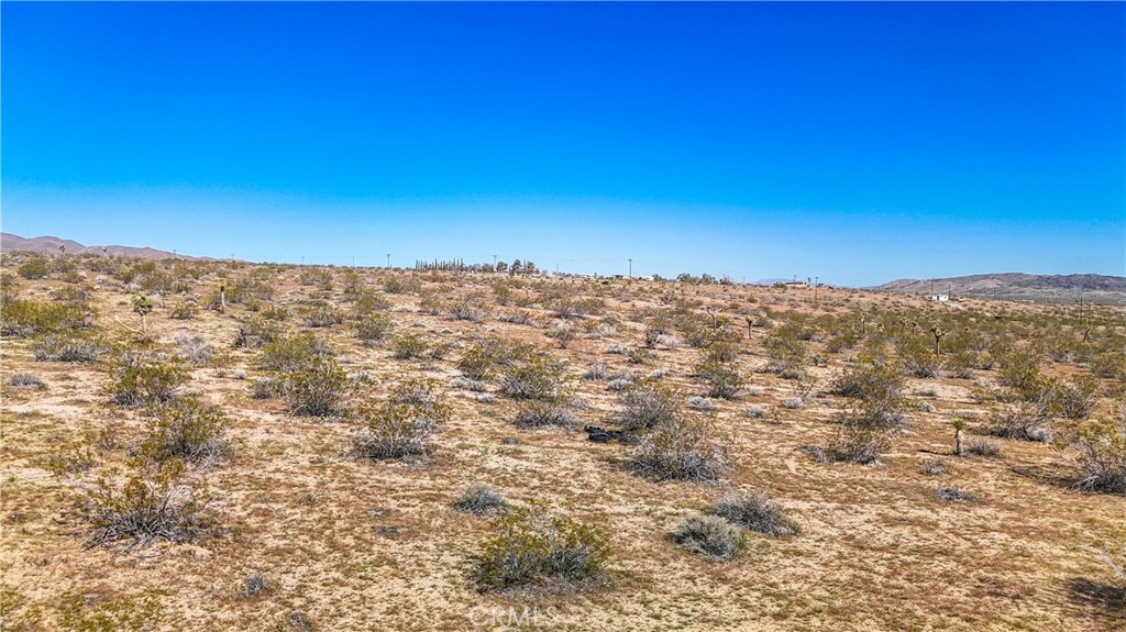 MLS #JT25078936 image #29