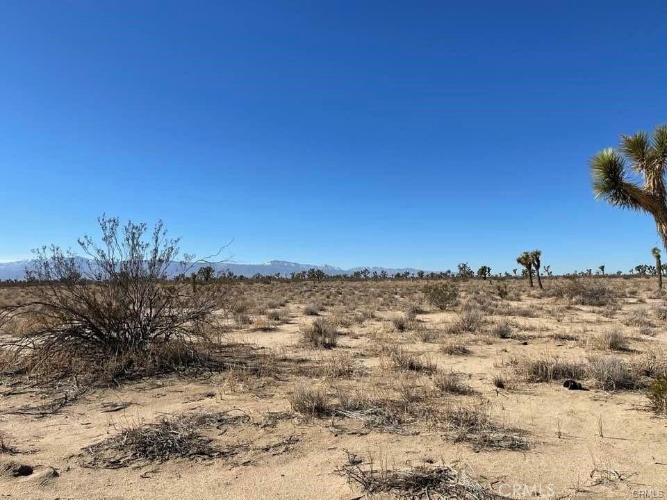 MLS #HD25000657 image #28