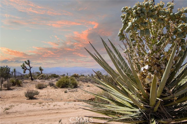 8261 Paradise View, Yucca Valley, CA, 92284 8261 Paradise View, Yucca Valley, CA, 92284