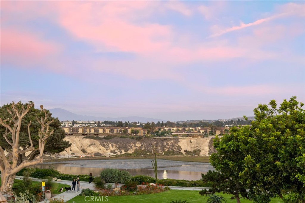 MLS #NP25233841 image #33