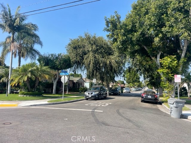 tree lined street