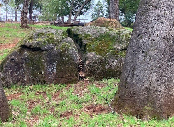 Detail Gallery Image 17 of 40 For 217 Craft, Paradise,  CA 95969 - 4 Beds | 3/1 Baths