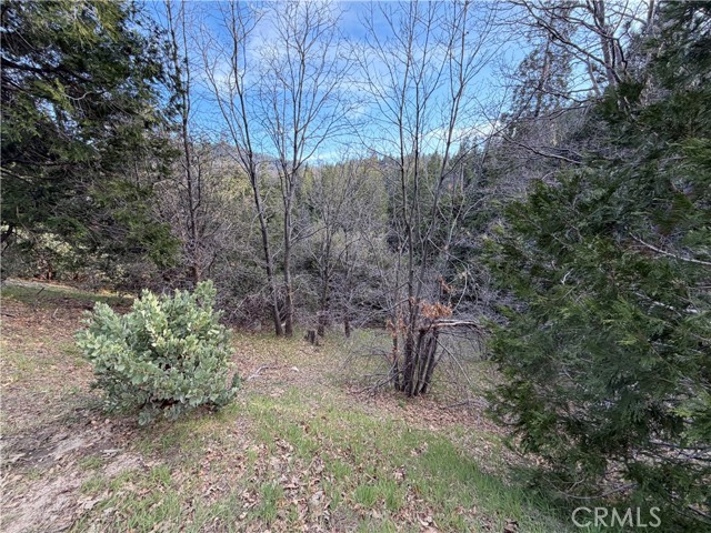 Detail Gallery Image 11 of 12 For 0 Hook Creek, Cedar Glen,  CA 92321 - – Beds | – Baths