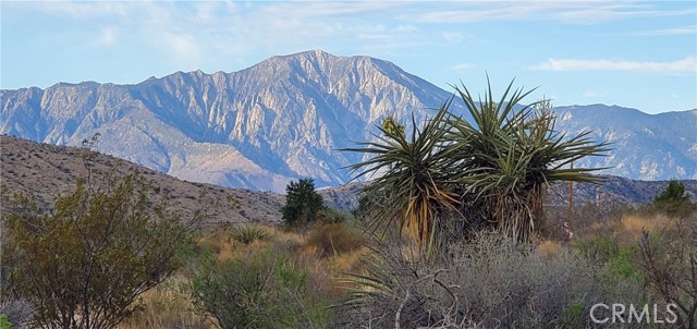 10785 San Jacinto, Morongo Valley, CA, 92256 10785 San Jacinto, Morongo Valley, CA, 92256