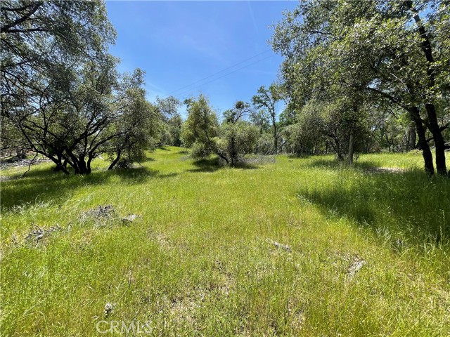 Detail Gallery Image 16 of 18 For 5275 Italian Creek Rd, Mariposa,  CA 95338 - – Beds | – Baths