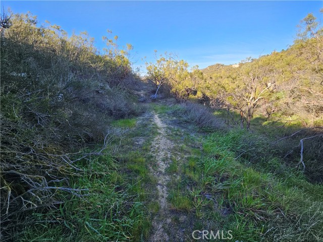 Front Image Thumbnail for CRSW26025252