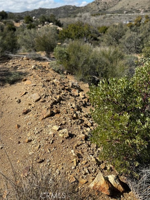 0 Covered Wagon Trail, Anza, California 92539, ,Land,For Sale,0 Covered Wagon Trail,CRSW24042253