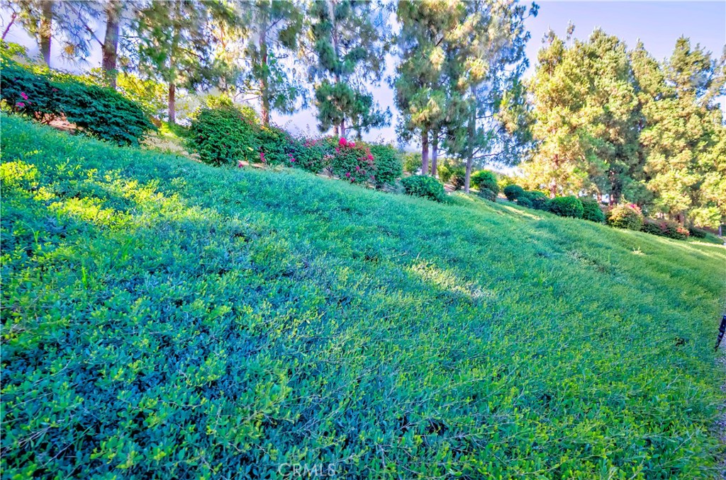 https://media.crmls.org/medias/99f447ca-7b4d-4f2c-bf63-1456fa8322f8.jpg?preset=X-Large
