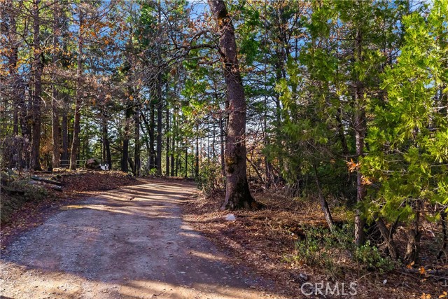 1 Stagecoach Drive, Oak Run CA: https://media.crmls.org/medias/99fb36e7-4965-44b8-ba4b-aff5c19ef4d8.jpg
