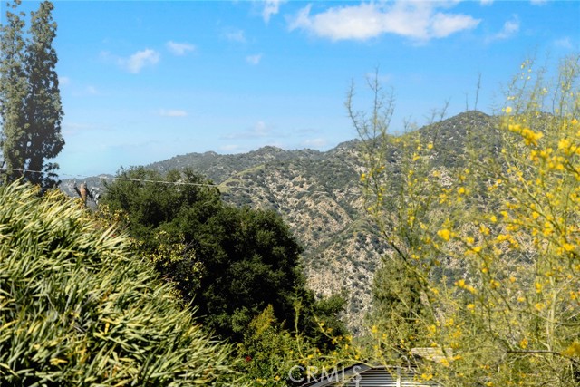 250 Hillgreen Place, Arcadia CA: https://media.crmls.org/medias/99fbc201-8bd9-4537-8fa3-0f6b475e0f49.jpg