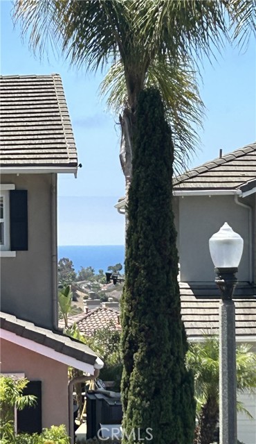 1405 Manera Ventosa, San Clemente CA: https://media.crmls.org/medias/99fe127f-19da-4995-b938-3a1b5c929788.jpg
