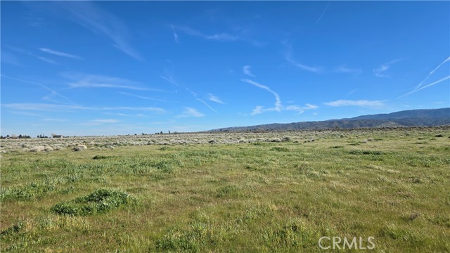 Detail Gallery Image 24 of 36 For 0 Vicinity Ave B12 & 265th St W, –,  CA 93536 - – Beds | – Baths