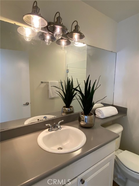 Downstairs Hallway Bathroom