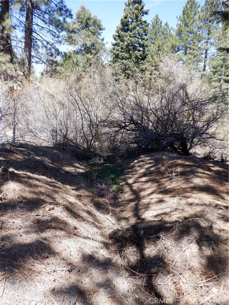MLS #IV25083583 image #15