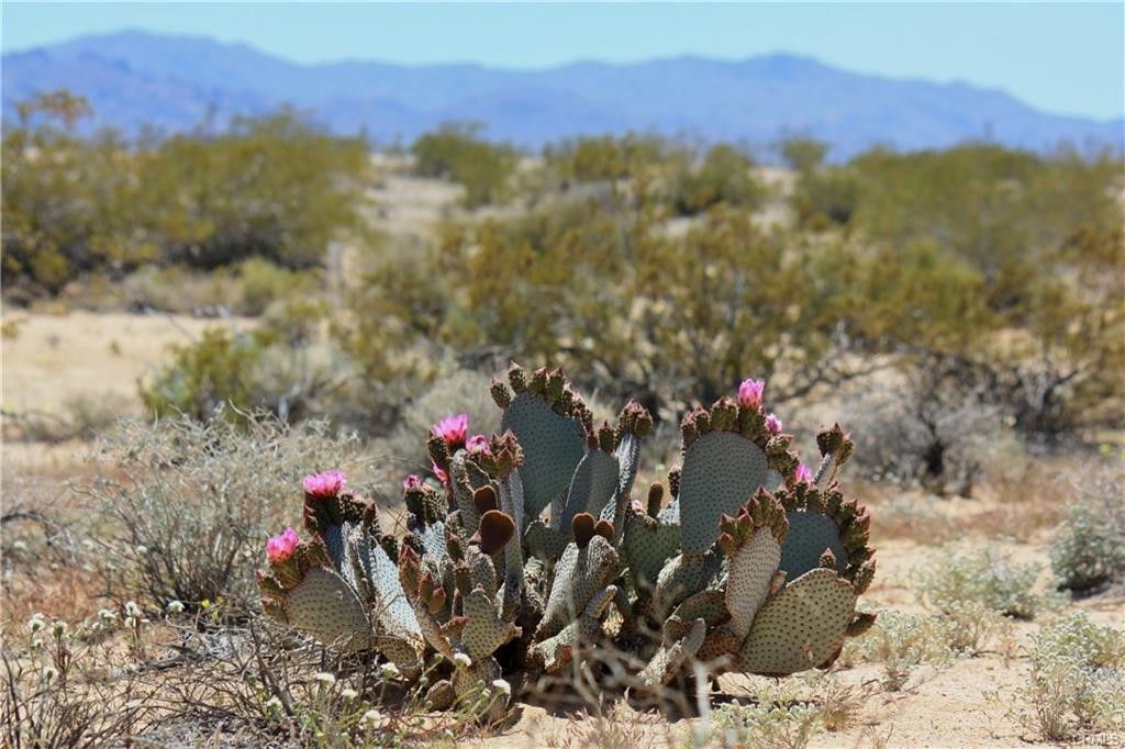 Detail Gallery Image 16 of 18 For 0 Mars Rd, Joshua Tree,  CA 92252 - – Beds | – Baths