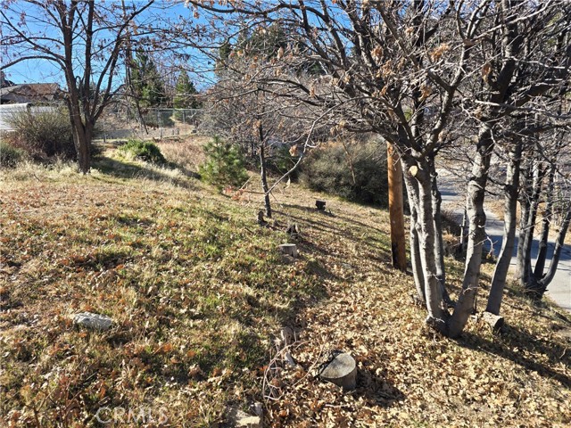 Detail Gallery Image 3 of 5 For 2350 Deep Creek, Running Springs,  CA 92382 - – Beds | – Baths