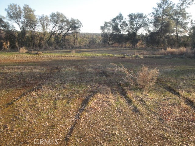 4288 Olive Highway, Oroville, California 95966, ,Land,For Sale,4288 Olive Highway,CROR19284436