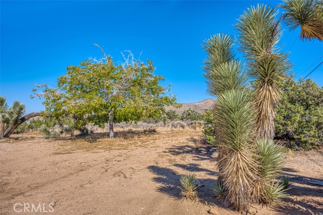 Detail Gallery Image 36 of 37 For 58697 Santa Barbara Dr, Yucca Valley,  CA 92284 - 3 Beds | 2 Baths