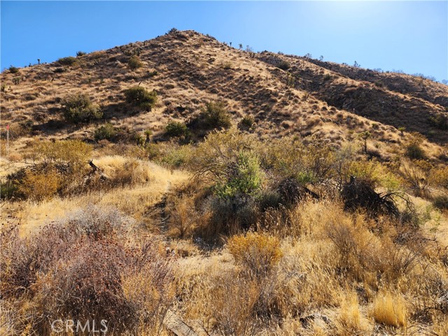 Detail Gallery Image 13 of 18 For 29 Palms Hwy, Morongo Valley,  CA 92256 - – Beds | – Baths