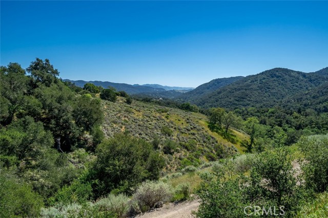 Detail Gallery Image 44 of 75 For 9954 Wildflower Rd, Santa Maria,  CA 93454 - 4 Beds | 2 Baths