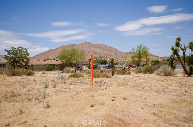 Detail Gallery Image 7 of 12 For 6391 Indio Ave, Yucca Valley,  CA 92284 - – Beds | – Baths