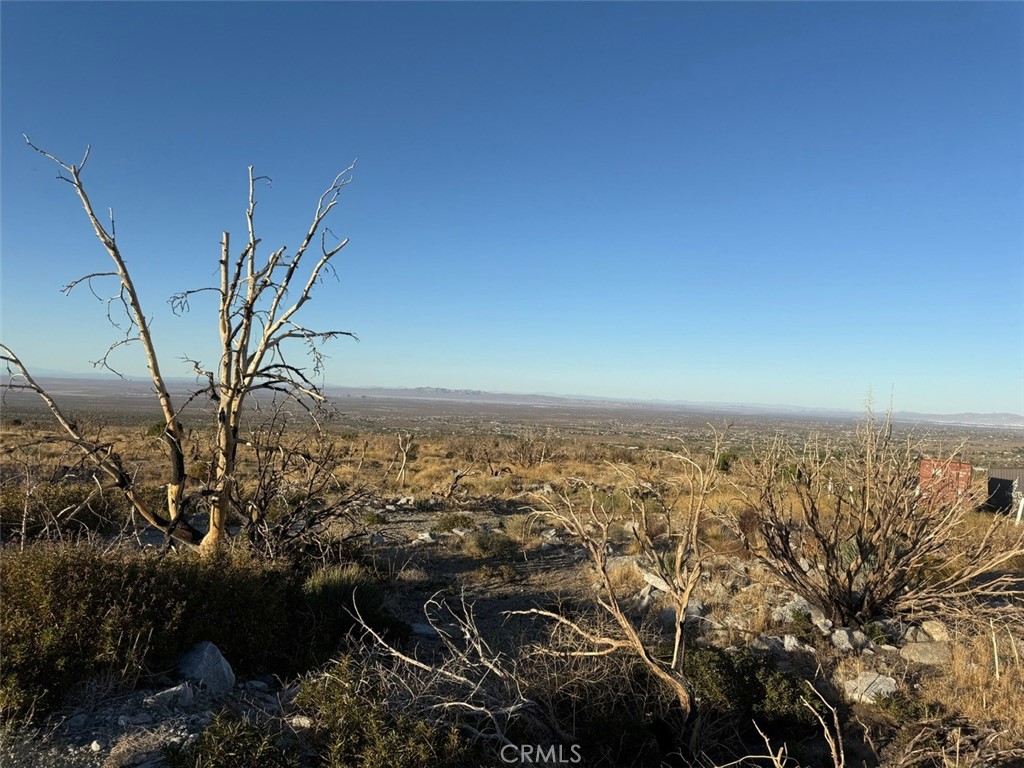 MLS #HD25232723 image #13