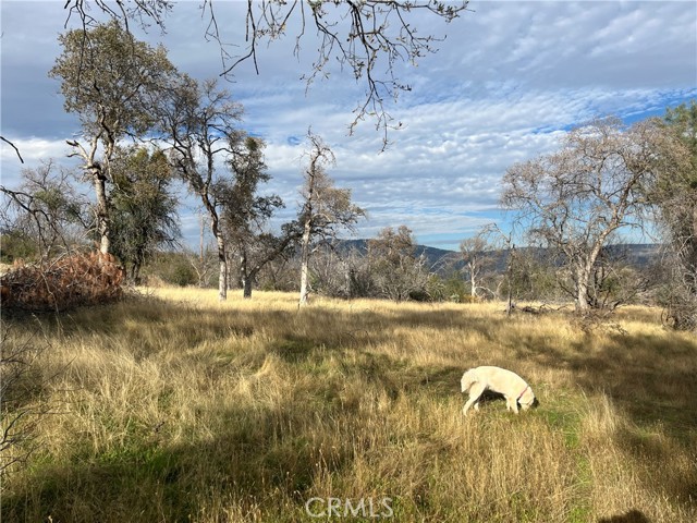 Detail Gallery Image 64 of 69 For 4934 Guadalupe Fire, Catheys Valley,  CA 95306 - – Beds | – Baths