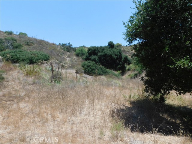 Detail Gallery Image 7 of 7 For 19272 Lambrose Canyon, Trabuco Canyon,  CA 92679 - – Beds | – Baths