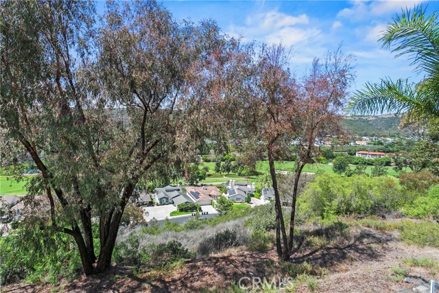 55 S Peak, Laguna Niguel CA: https://media.crmls.org/medias/9a324120-0567-44d5-a430-9ad0bf8fd8b1.jpg
