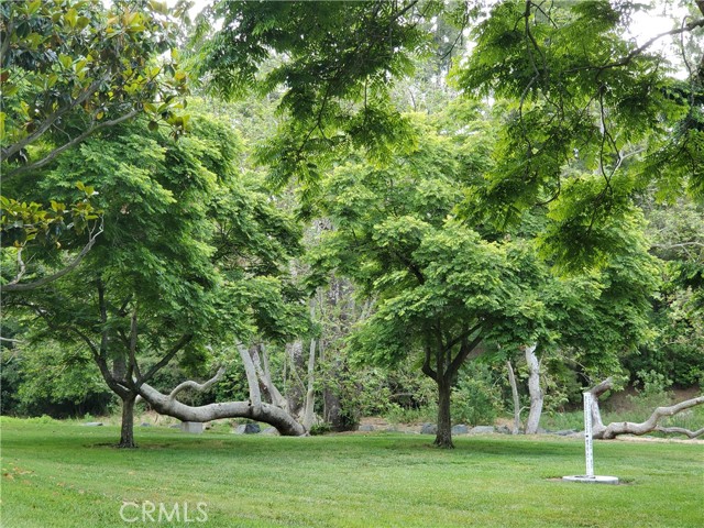 Detail Gallery Image 39 of 46 For 422 Avenida Castilla #D,  Laguna Woods,  CA 92637 - 2 Beds | 1 Baths